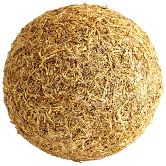 Cyan Design Medium St. Augustine Filler 6.25" Diameter Bowl And Vase Filler - Brown