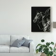 thumbnail image 3 of Trademark Fine Art 'Scratchboard Rodeo V' Canvas Art by Julie T. Chapman, 3 of 4