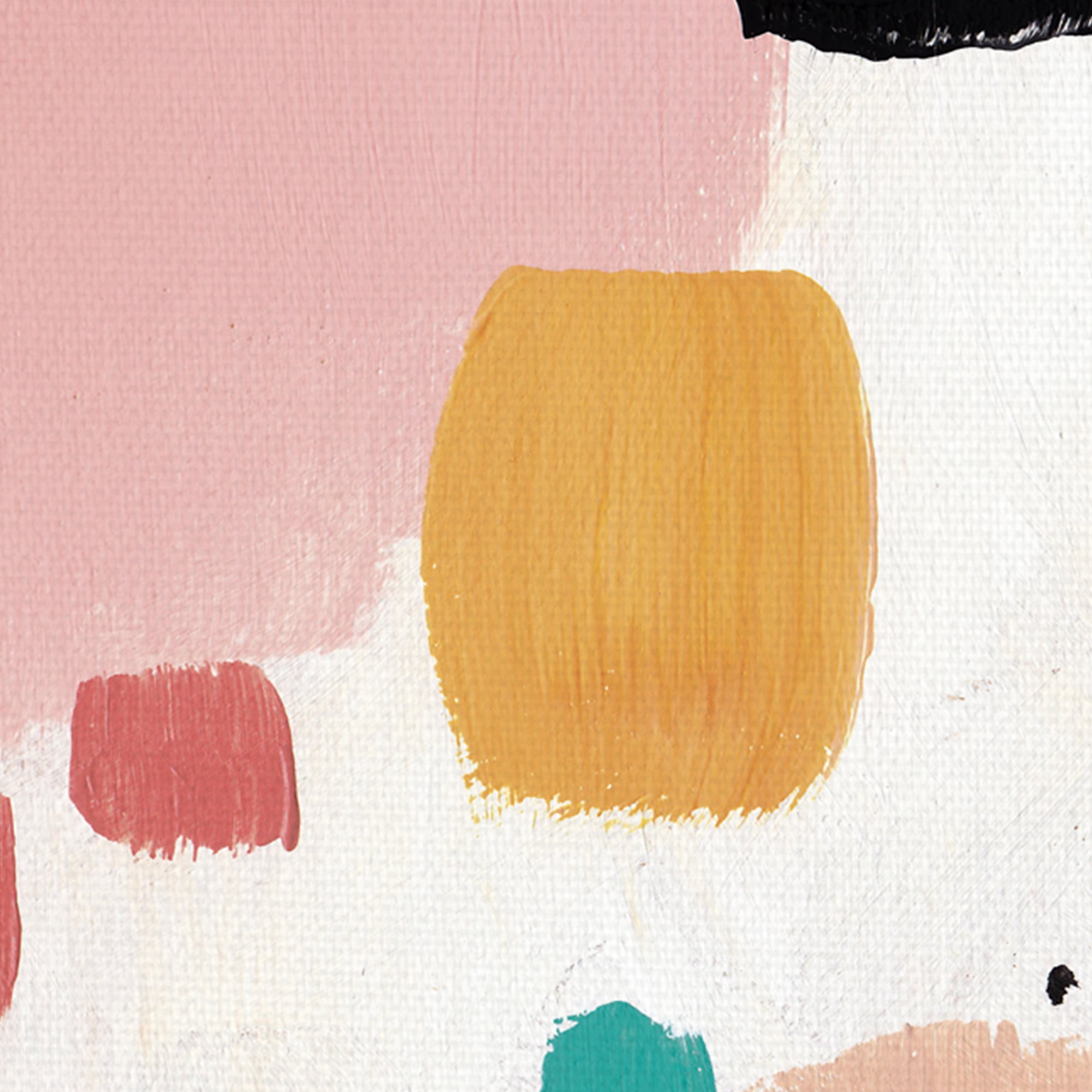Cotton Flurry by Joelle Wehkam Canvas Art Print