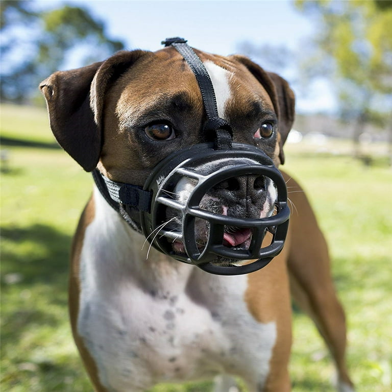 Muzzle to prevent biting hotsell