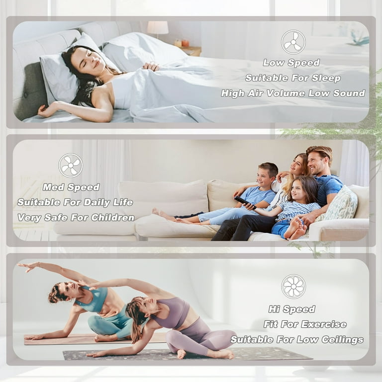 LISUNAR Ceiling Fans with Lights,20