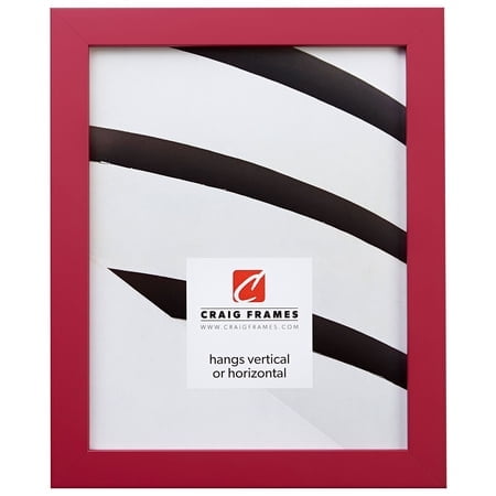 Craig Frames Confetti Modern Pink Picture Frame 13 x 19 Inch