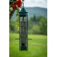 thumbnail image 2 of Brome Bird Care BD1015 Squirrel Buster Classic, 2 of 7