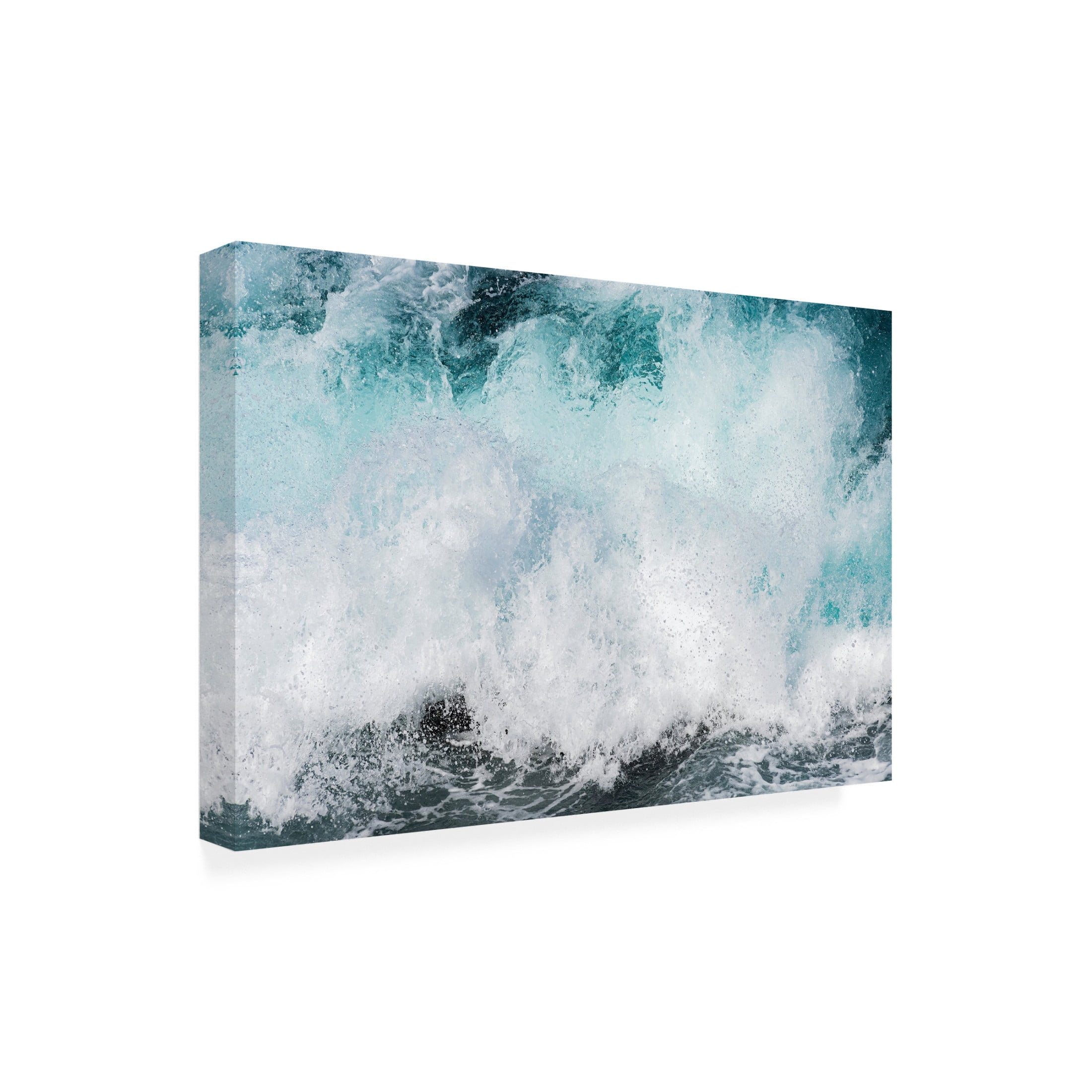 Trademark Fine Art Kaiki Matsuo Voice Of The Waves Canvas Wall Art