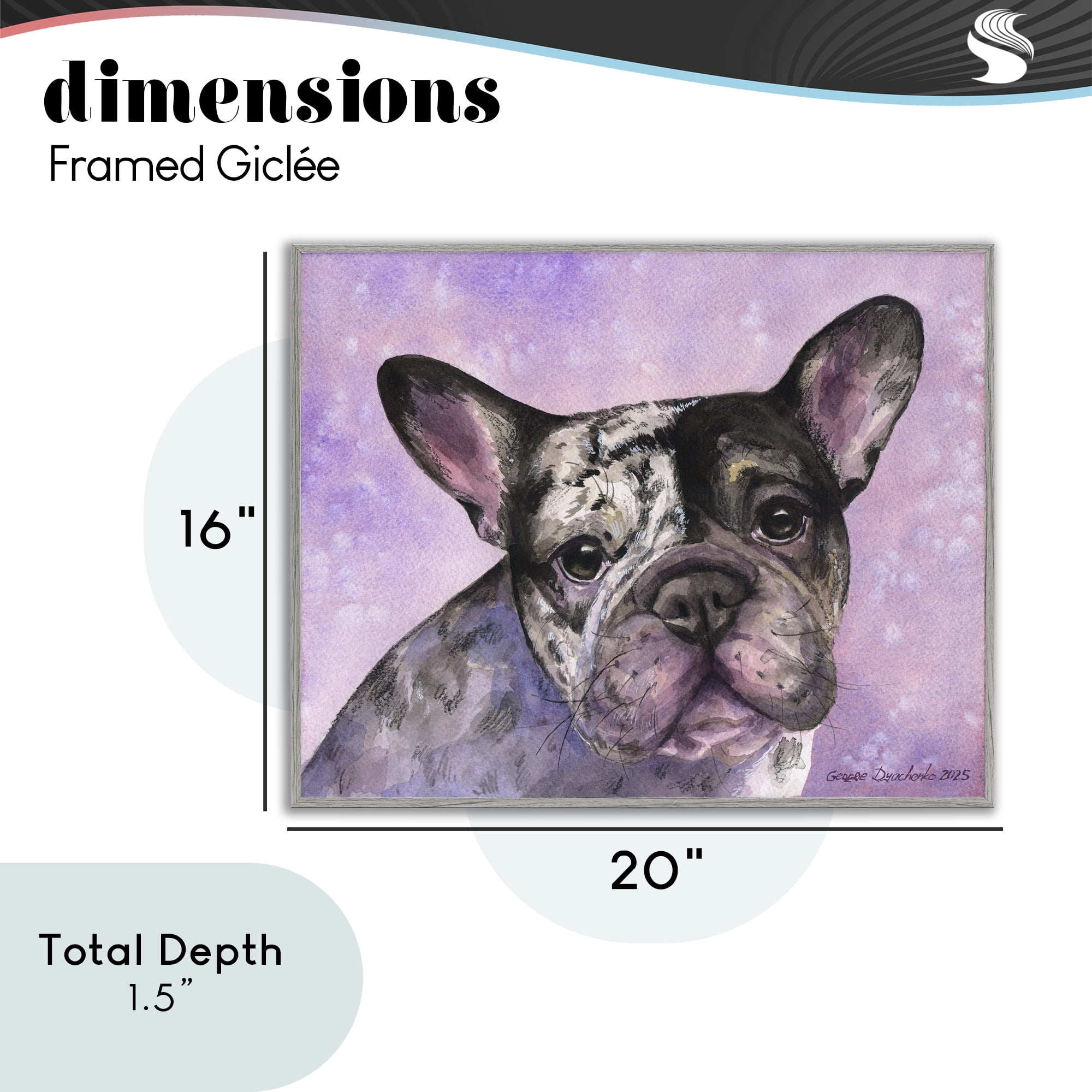 Stupell Industries Harlequin French Bulldog Gray Framed Giclee Art, design by George Dyachenko