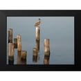 thumbnail image 2 of Nawrocke, Bruce 14x11 Black Modern Framed Museum Art Print Titled - Pelican I, 2 of 5