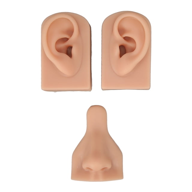 Modelo De Práctica De Perforación, Material Didáctico Elástico Reutilizable, Modelo De Práctica De Perforación Suave Con Base Para Hospital ANGGREK Otros