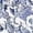 Blue, variant on Cinq à Sept womens Sketchbook Canyon Jacket, 4, Blue