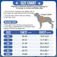 thumbnail image 5 of AUTOWT Dog Life Jacket, Shark-Shaped Pet Life Vest Preserver High Buoyancy and Tear-Resistant Handle, 5 of 8