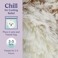 thumbnail image 6 of warmies 13” Marshmallow Brown Bear Stuffed Animal, Microwavable Heated Plushies and Weighted Soft Plush Toys, 6 of 7