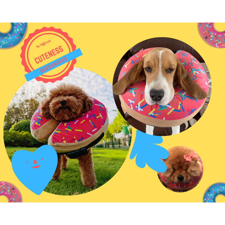 Dog Donut Collar | Great Alternative to a Traditional Dog Cone or a Soft Dog  Cone Collar | Our Inflatable Dog Cone is an Excellent Cone for Dogs after  Surgery | Dog