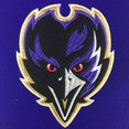 thumbnail image 3 of Winning Streaks Sports 44051 Baltimore Ravens Heritage Banner, 3 of 4