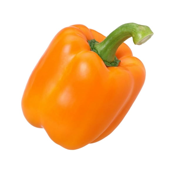 Muscato Orange Bell Pepper Premium Seed Packet