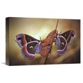 thumbnail image 1 of Global Gallery Jimmy Hoffman,'Robin Moths' Stretched Canvas Artwork, 1 of 3