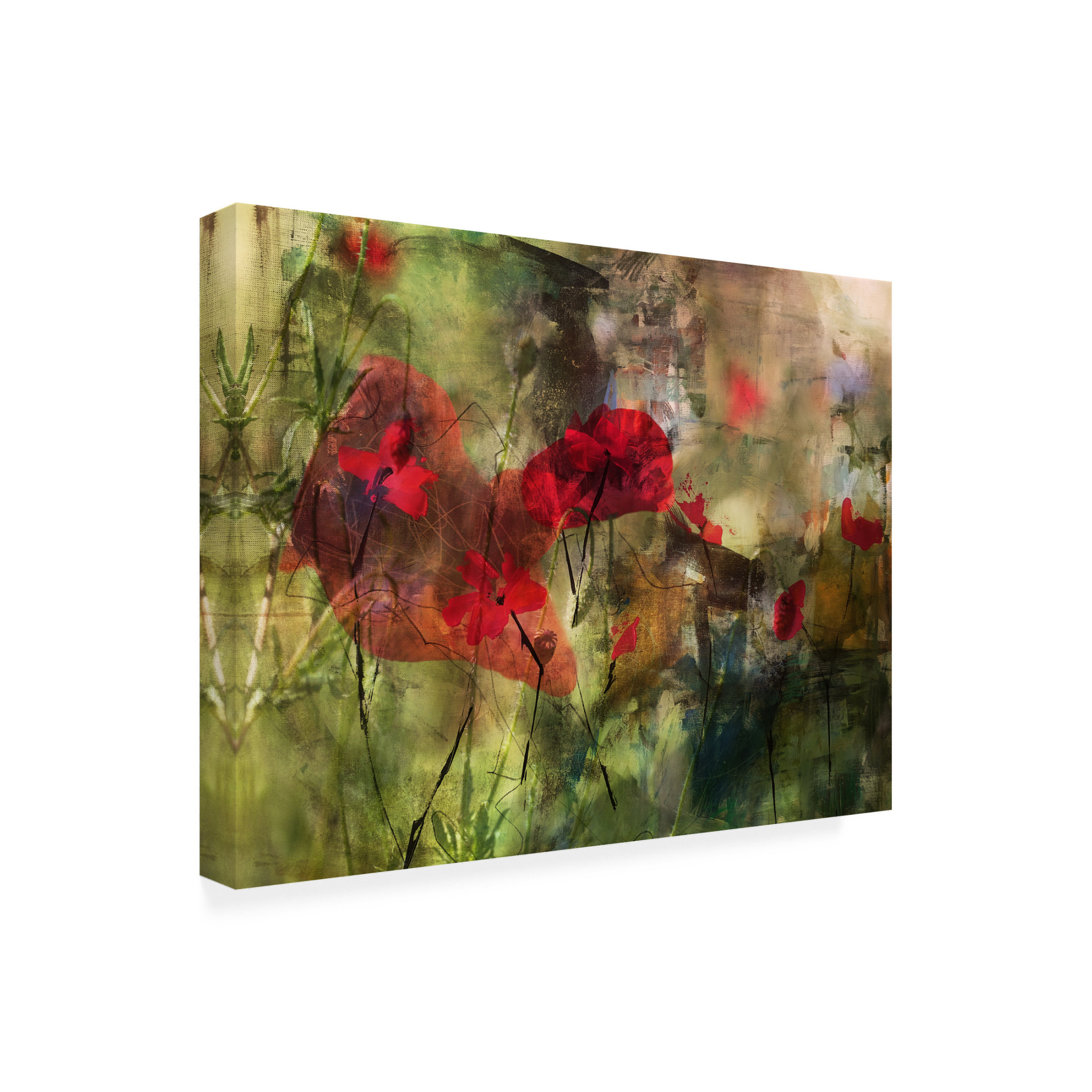 Trademark Fine Art Ellen van Deelen Poppies Canvas Wall Art