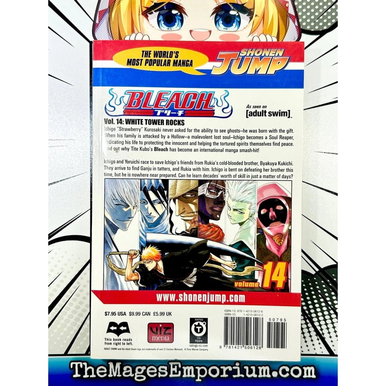 Bleach Bleach, Vol. 14, Book 14, (Paperback) - Walmart.com