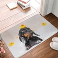 thumbnail image 5 of Haiem Dachshund Sitting in Bathtub Front Door Mat Indoor Outdoor Entrance, Waterproof All-Season, All-Weather Doormat, Durable Flannel Fabric, Fade Resistant, Low Profile, 16x24in, 5 of 9