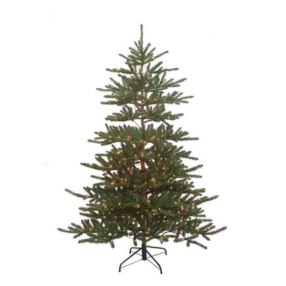 Mountain King Christmas Trees