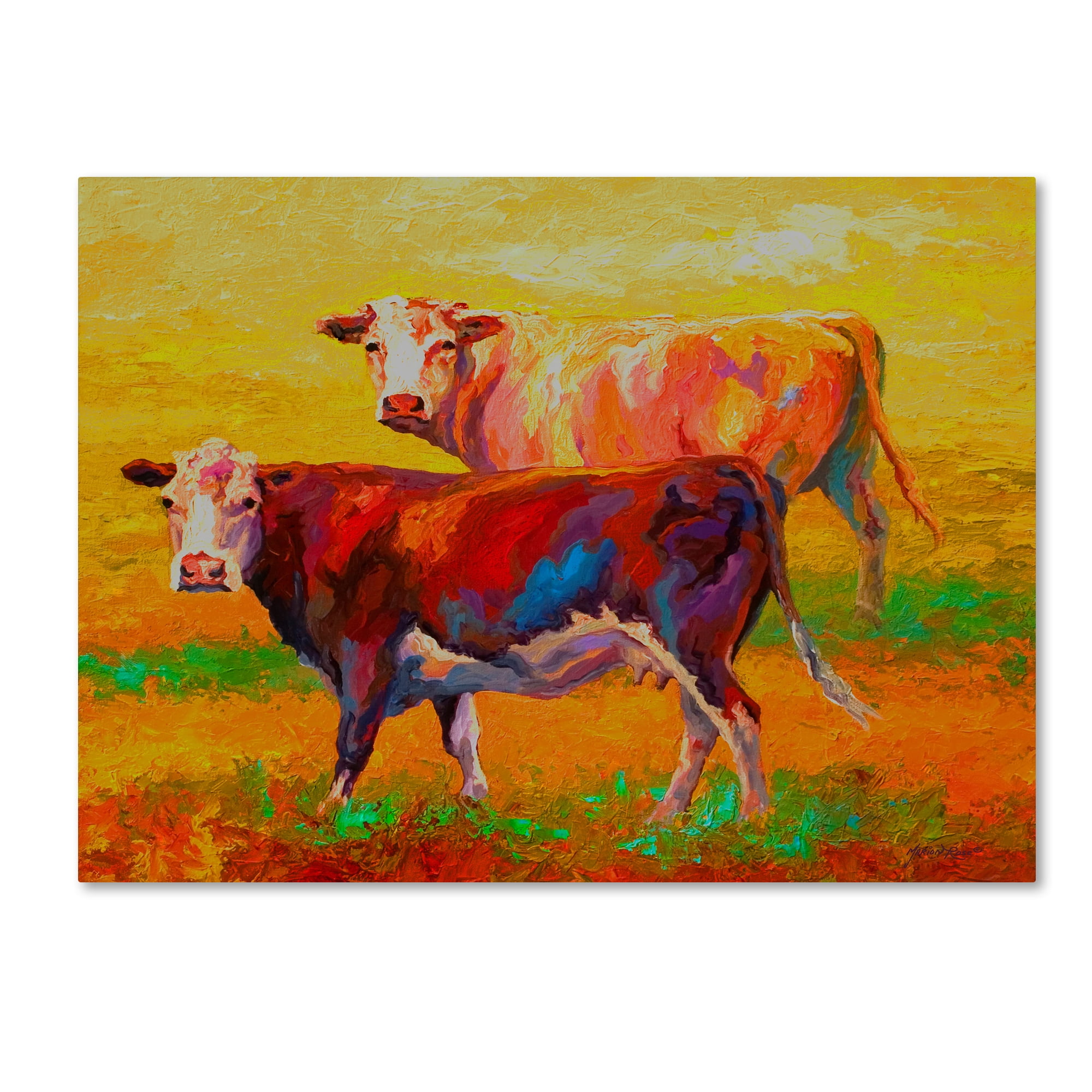 Trademark Fine Art 'Two Cows' Canvas Art by Marion Rose