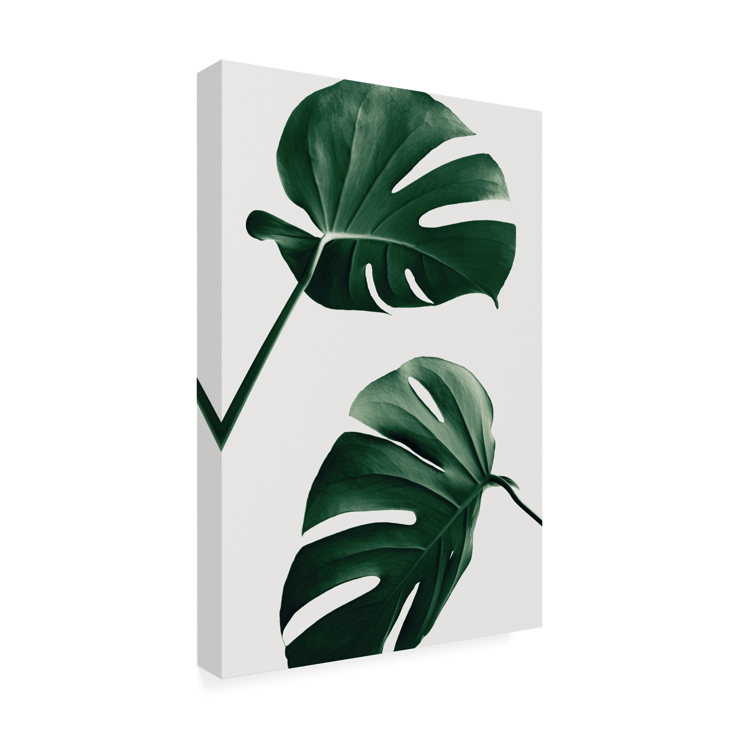 1x Studio III 'Monstera Natural 46' Canvas Art