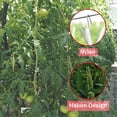 thumbnail image 4 of Ganchos para rejilla de tomates ZHCH con alambre para invernadero y pinzas para verduras, 4 of 5