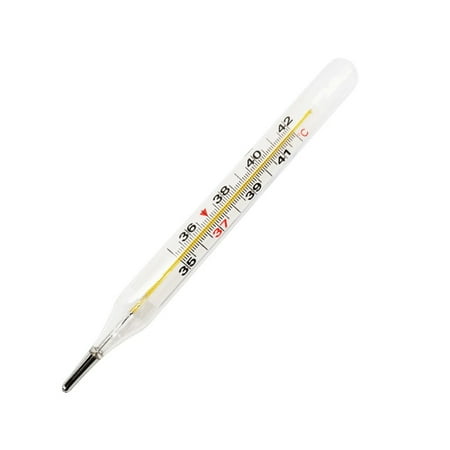 

Mercury-Free Dual Scale Classic Traditional Glass Accuracy Thermometer 2ml