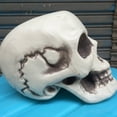 thumbnail image 4 of Nilvkv Halloween Skeletons Plastic Realistic Fake Simulation Human Skull Headbone Model Halloween Prop Realistic Mini Skeleton Spooky Halloween Decoration, 4 of 6