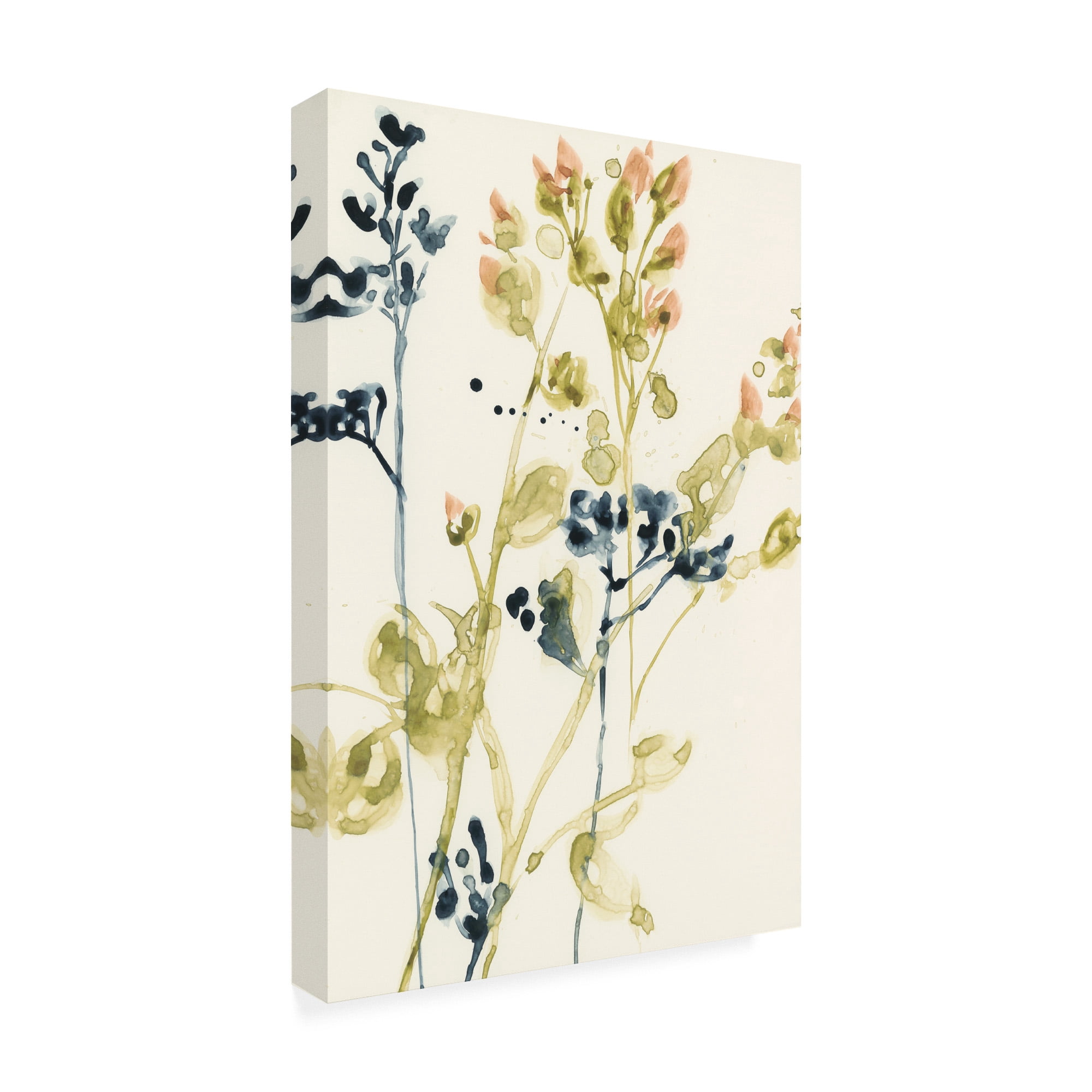 Trademark Fine Art 'Blush Buds I' Canvas Art by Jennifer Goldberger