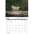 thumbnail image 3 of Silver Creek Press, Wolves 2026 Wall Calendar, 3 of 3