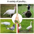 thumbnail image 3 of Chicken Vegetable Feeder String Bag - Cabbage Fruit Holder Hanging Skewer for Poultry Hens Goose Duck Cage, 3 of 7