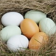 thumbnail image 3 of Shisuyan Simulation Eggs For Game Props 9Pcs 2.4x1.6in, 3 of 8