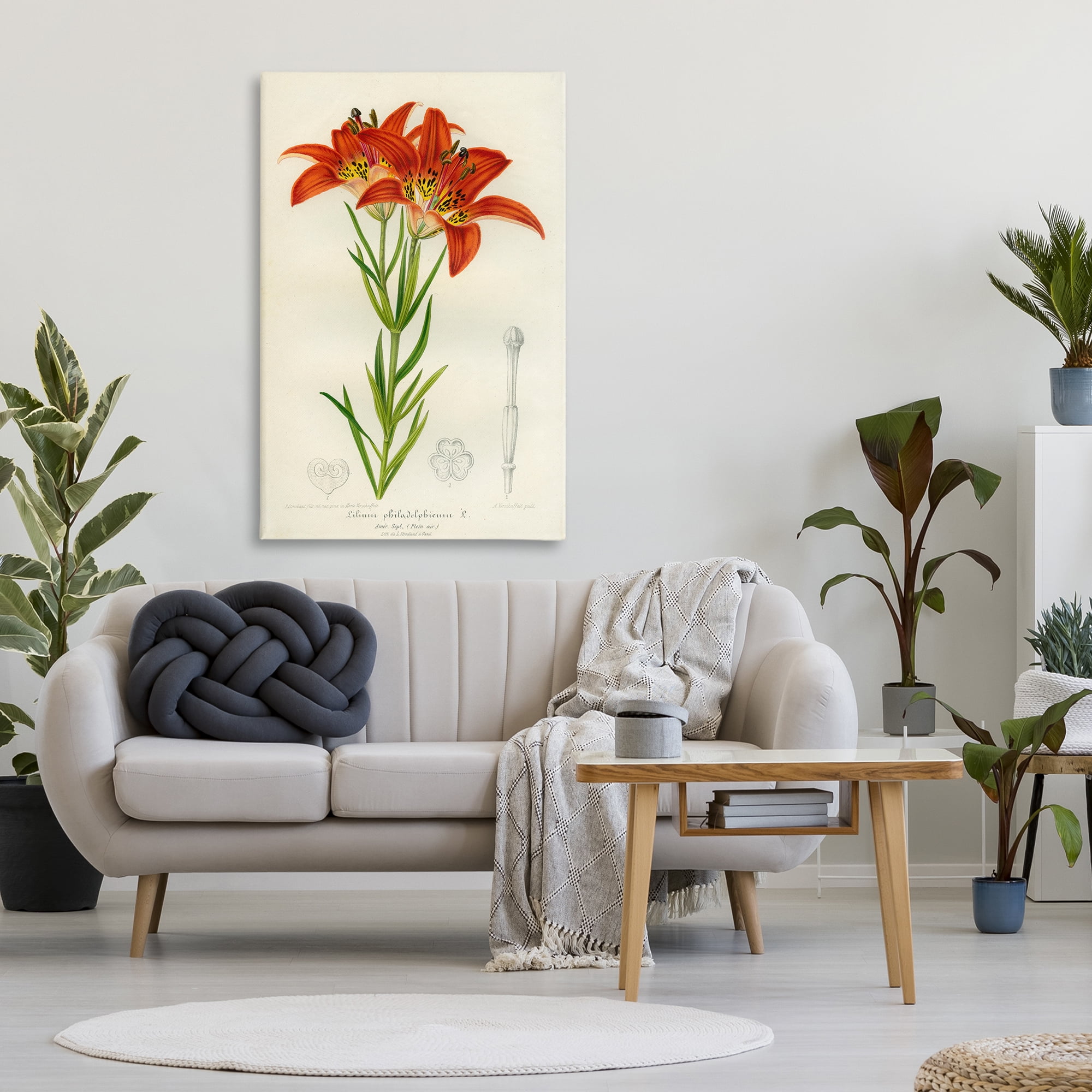 Stupell Industries Western Red Lily Canvas Wall Art, design by Print Collection