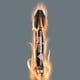 thumbnail image 3 of Set de brocas Wera Bit-check 30 IMPAKTOR 1 Surtido, 3 of 7