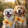 thumbnail image 2 of Dog Bandana 2 Pack,Newspaper Text Sunflower Pattern Bandanas for Dogs,Cat Bandana,Small/ Large Dog Bandana 2 Size,Dog Bandanas Girl Boy, 2 of 6