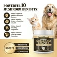 thumbnail image 5 of Mushroom Powder for Dogs & Cats - Organic Mushroom Complex for Immune Support, Cognition, Vitality - Ten Mushroom Supplement with Turkey Tail, Lion's Mane, Reishi - 90 Scoops, 5 of 9