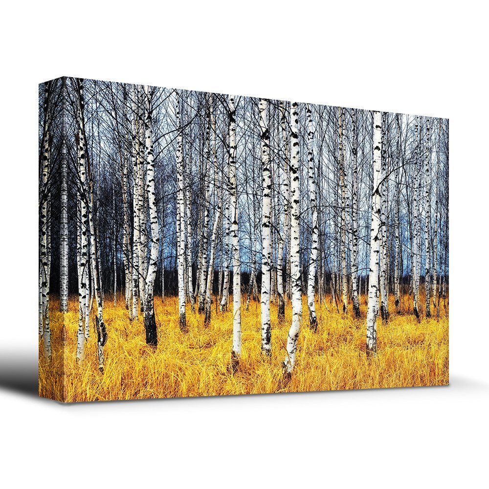 wall26 Beautiful Aspen Trees Fall colors Canvas Art Home Decor