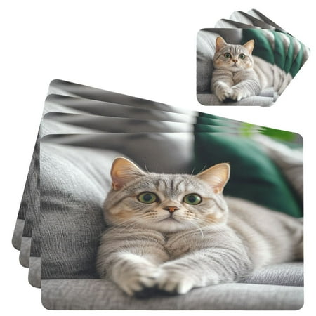 

Wobogo Cute English Shorthair Cat Placemats Coasters Set of 4 Heat-resistant Non-slip Easy to Clean Square Dinner Plate Mat