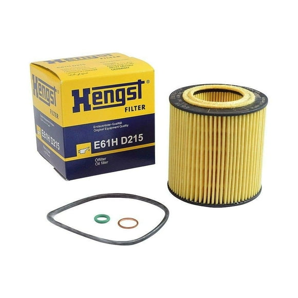 E61HD215 Hengst Oil Filter Compatible with Germany BMW 1 3 5 7 X1 X3 X5 X5M X6 (Compatible with HU816X) Pack of 2