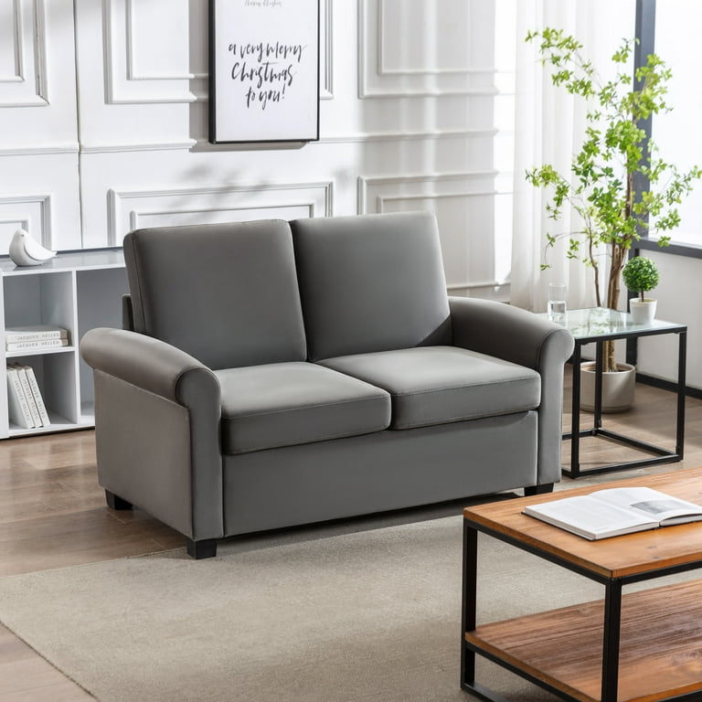 Loveseat online sleepers clearance