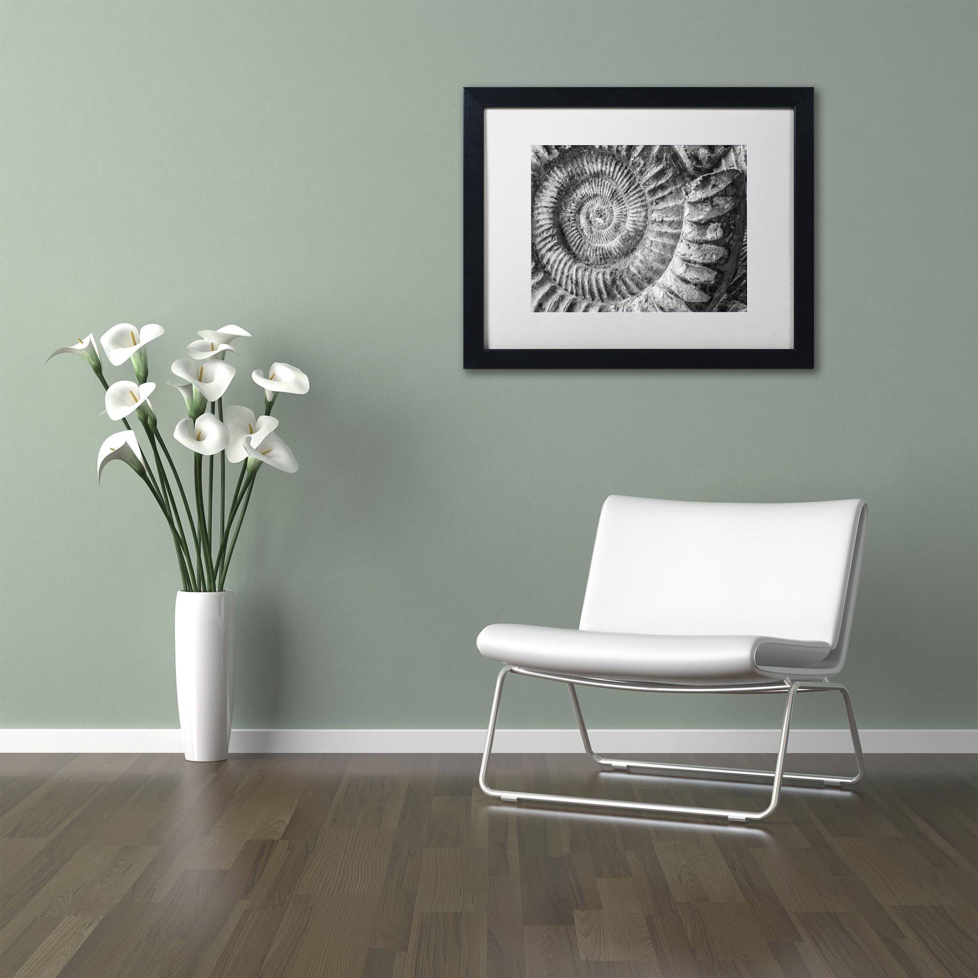 Trademark Fine Art "Amonita 1" Canvas Art by Moises Levy White Matte, Black Frame