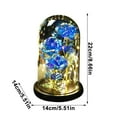 thumbnail image 3 of SLYNSHome Rose in Glass Dome Gifts for Mom Women Birthday Gift Forever Eternal Crystal Flower Light Up Roses for Grandma Wife Her Sister - Blue, 3 of 7