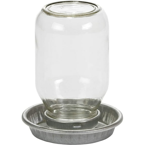 Little Giant Glass Mason Jar Baby Chick Waterer, 1 Quart