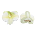 thumbnail image 3 of Ganchos para el cabello de perlas falsas de 2 piezas con clip de pico de pato para mujeres, flores Phalaenopsis en blanco y verde, 3 of 5