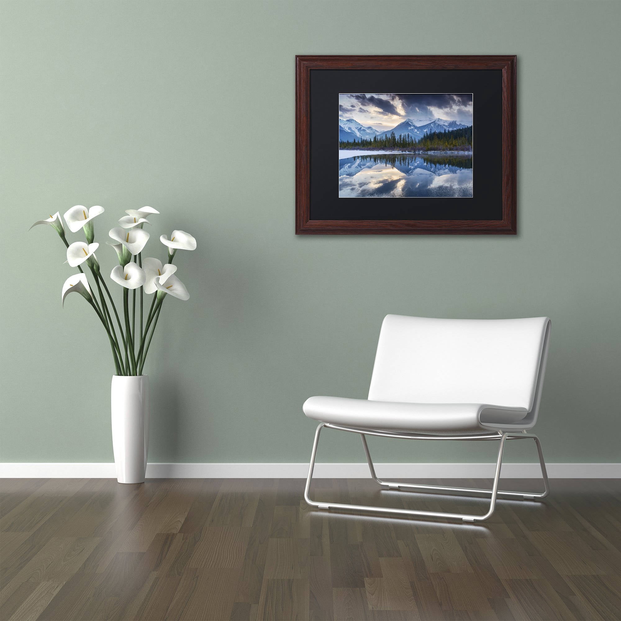 Trademark Fine Art 'Vermillion' Canvas Art by Michael Blanchette Photography, Black Matte, Wood Frame