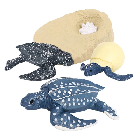 Colección de tortuga Yotijar Incluye réplicas de huevos larvas tortugas jóvenes y adultas s pintadas Juego de crecimiento de tortugas marinas
