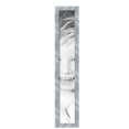 thumbnail image 2 of ArtToFrames 5" x 33" Stainless Steel Picture Frame, 5x33 inch Silver MDF Poster Frame (WOM-5313),  Pack, 2 of 8