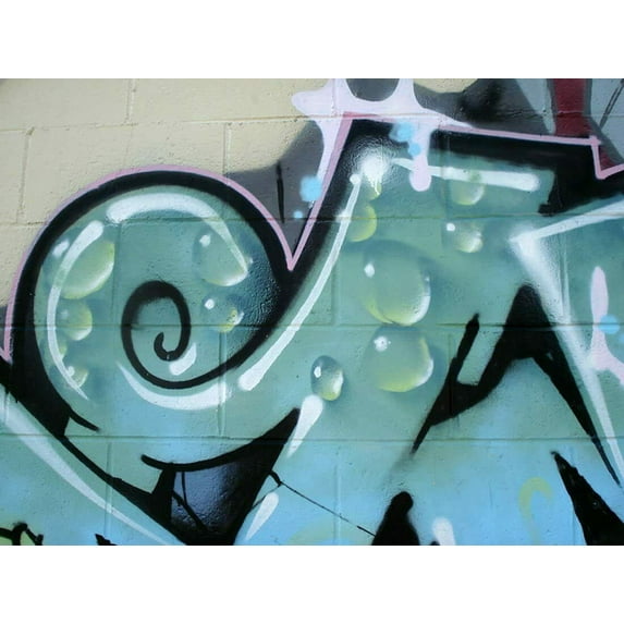 Graffiti Art XXXV - CANVAS OR FINE PRINT WALL ART