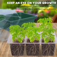 thumbnail image 3 of Juego de 10 bandejas de plántulas, kit de inicio de semillas, 60 células grandes, minipropagador, kit de cultivo de plantas con cúpulas ventiladas de humedad y base para semillas que comienzan en, 3 of 5