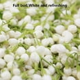 thumbnail image 2 of Maofeng Jasmine Tea, Chinese Green Tea with Jasmine Flowers, Ideal Gift for Holidays or Family Gatherings, 200ml, 2 of 4