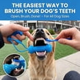thumbnail image 4 of Fountwell Dog Dental Chew Toy Pet Oral Care Brushing Teeth Cleaner for Small Medium Large Dogs, 4 of 8